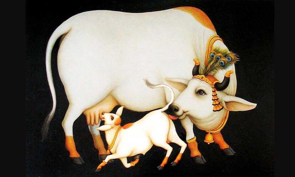 Cow in Indian culture